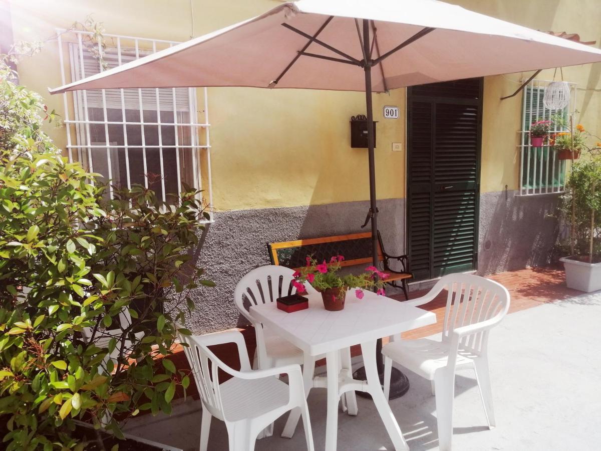 Pierina Apartman Lucca Kültér fotó