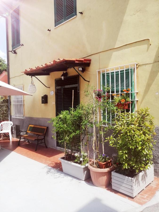 Pierina Apartman Lucca Kültér fotó